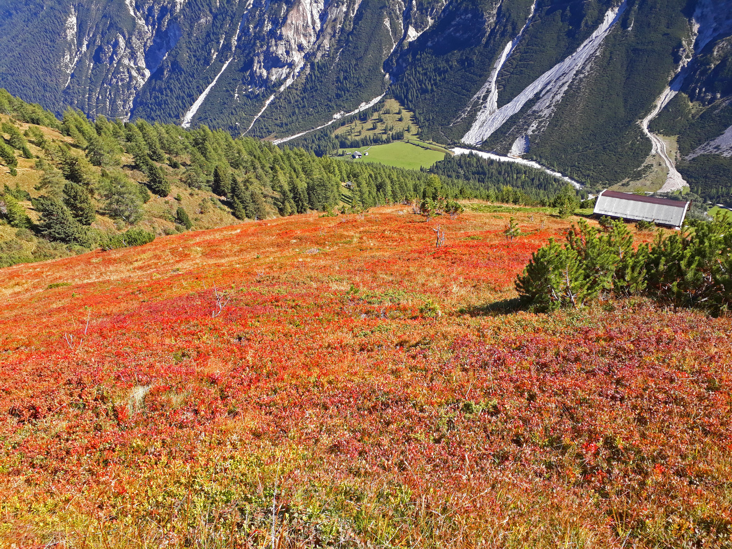 Herbst am 11er im Stubaital