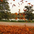 Herbst am Aasee