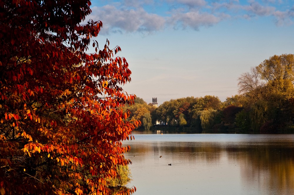 Herbst am Aasee