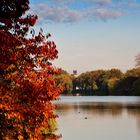 Herbst am Aasee