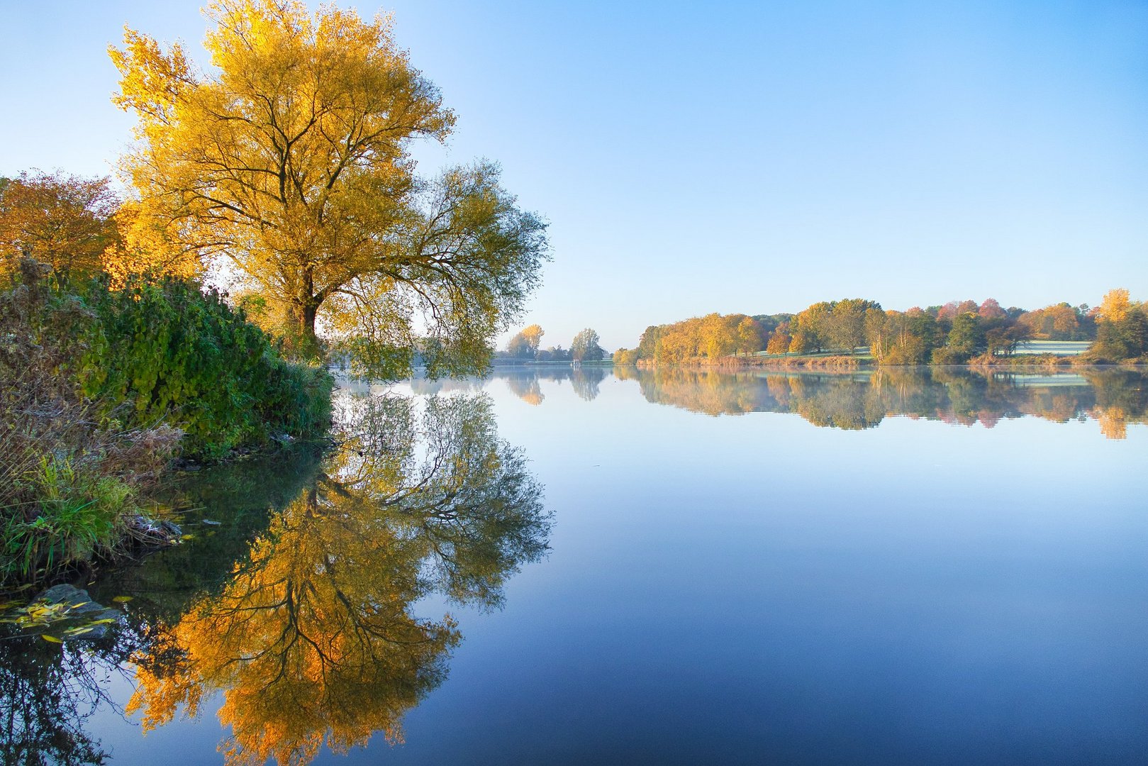 Herbst am Aasee in Münster 