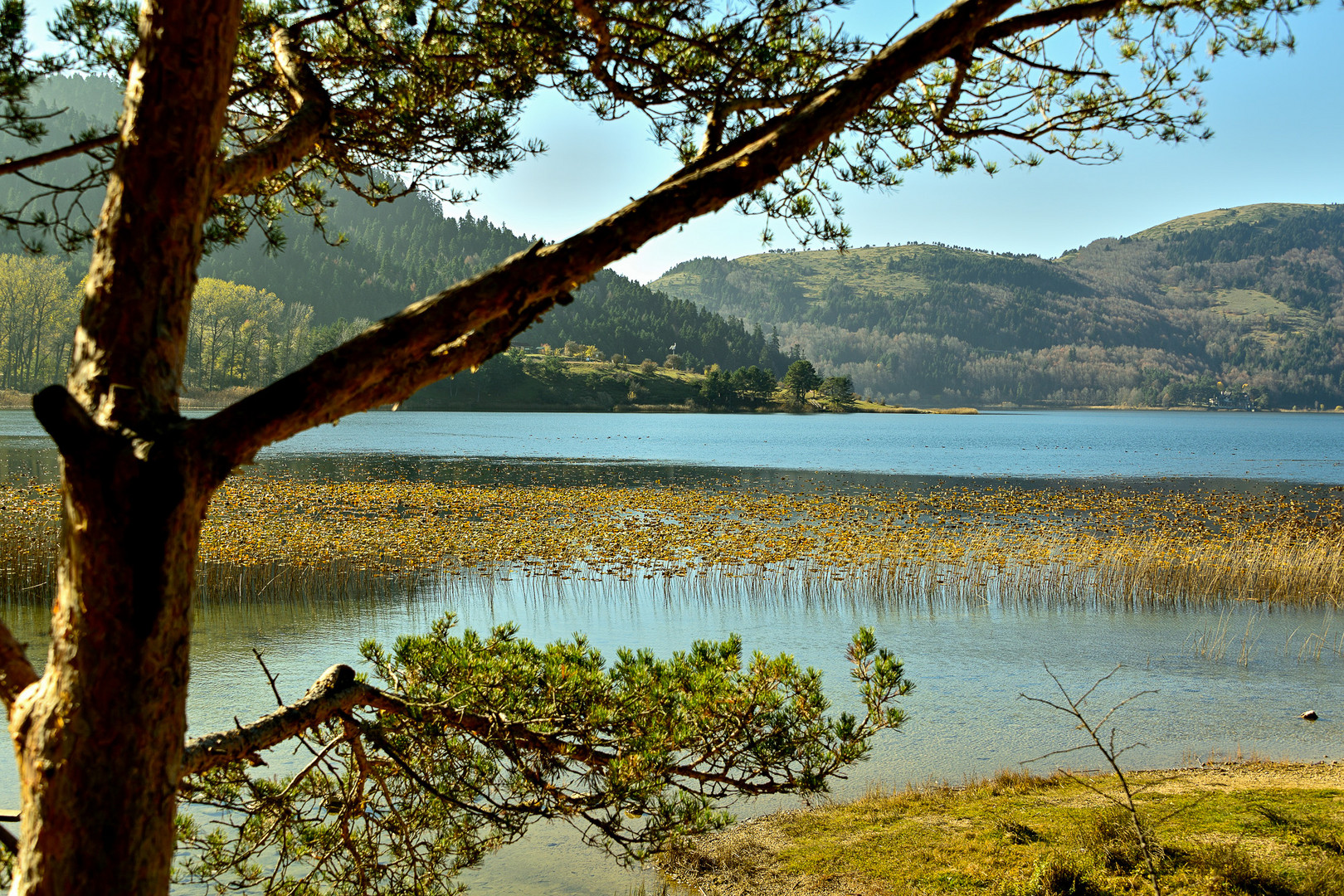 Herbst am Abant See-(Abart Gölü) 