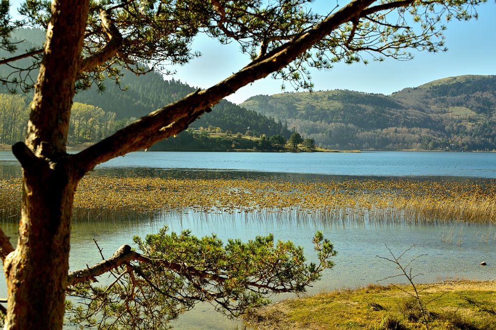 Herbst am Abant See-(Abart Gölü) 