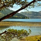 Herbst am Abant See-(Abart Gölü) 