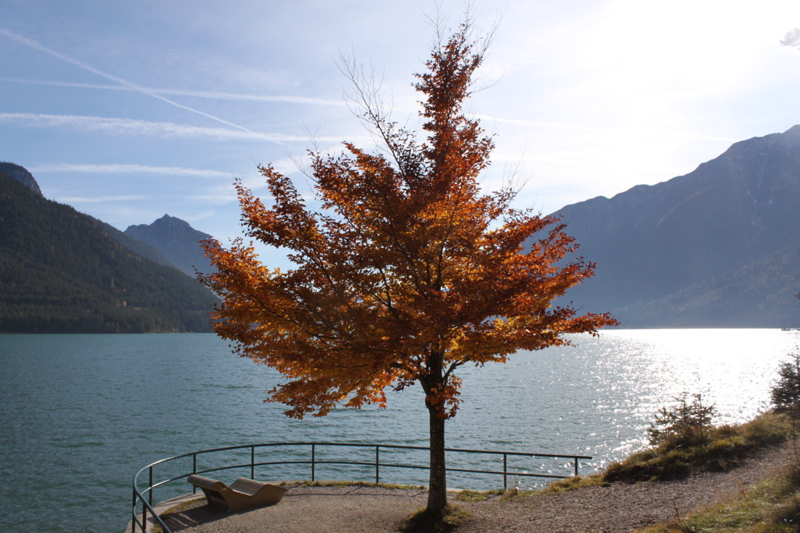 Herbst am Achensee