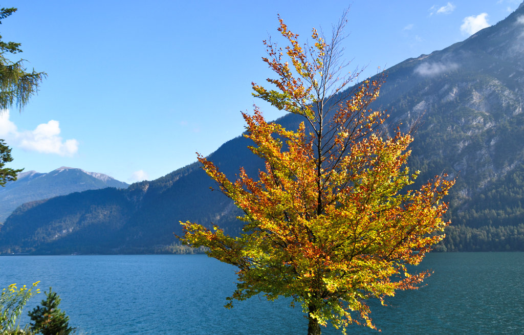 Herbst am Achensee