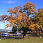 Herbst am Achterwasser