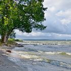 Herbst am Achterwasser