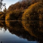 Herbst am Achterwehr Kanal