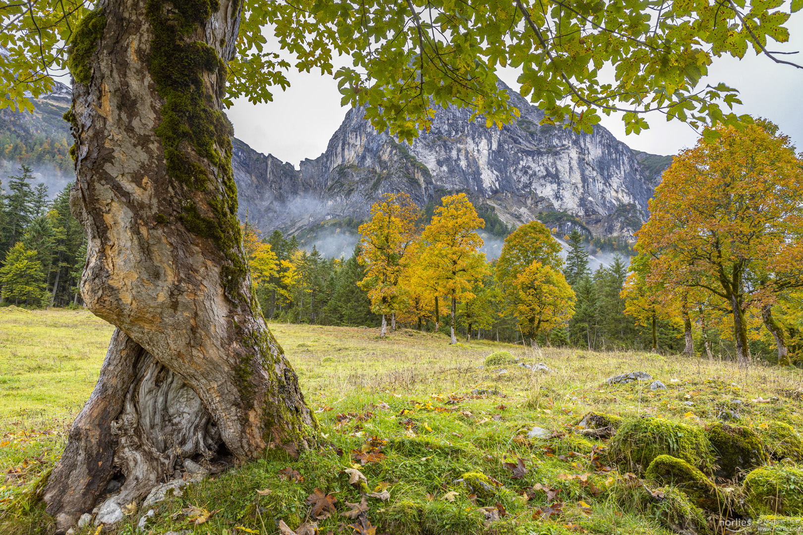 Herbst am Ahornboden