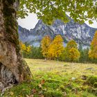 Herbst am Ahornboden