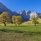 Herbst am Ahornboden