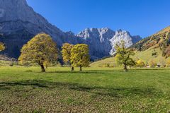 Herbst am Ahornboden