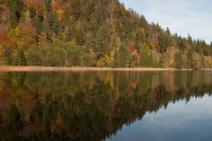 Herbst am Alatsee