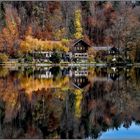 Herbst am Alatsee / Ostallgäu (1)