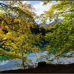 Herbst am Alatsee / Ostallgäu (2)