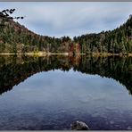 Herbst am Alatsee / Ostallgäu (2)