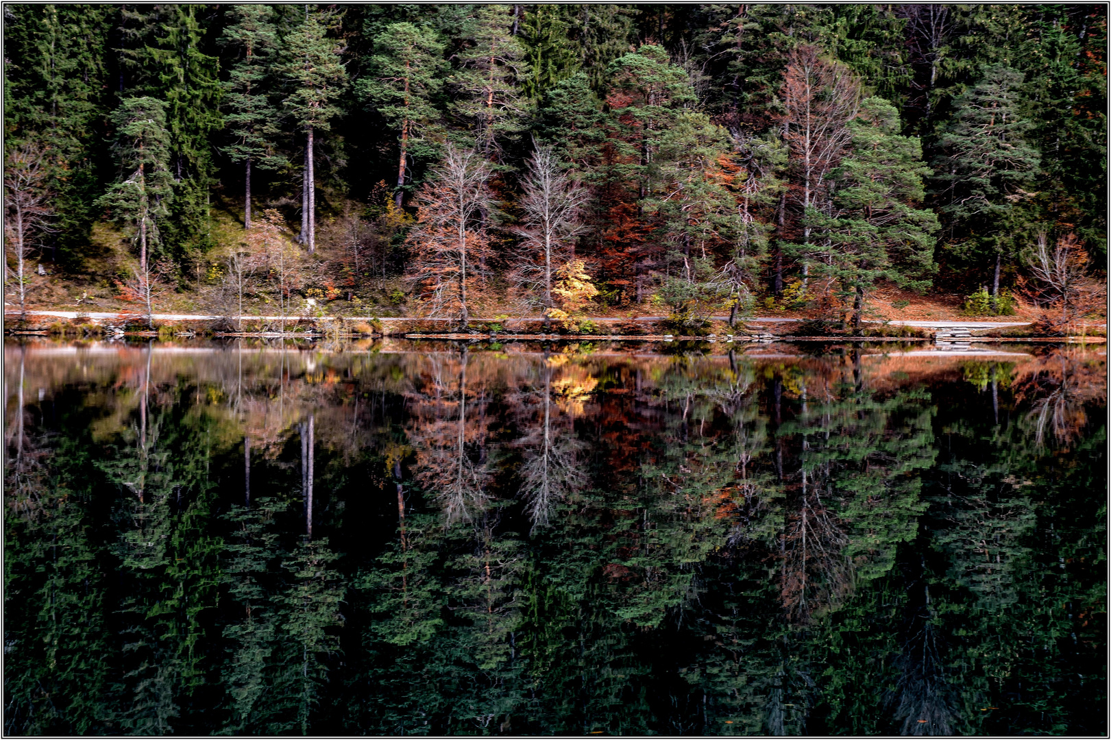 Herbst am Alatsee / Ostallgäu (3)