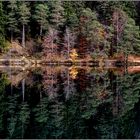 Herbst am Alatsee / Ostallgäu (3)