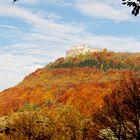 Herbst am Albrand