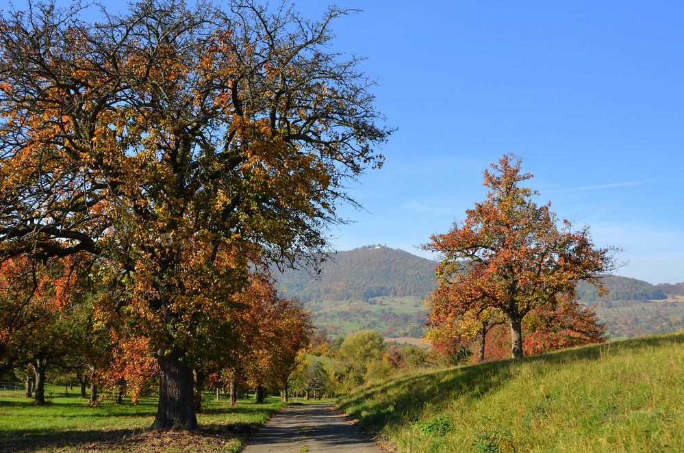 Herbst am Albtrauf