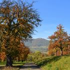 Herbst am Albtrauf