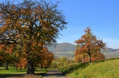 Herbst am Albtrauf