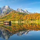 Herbst am Almsee