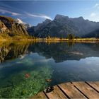 Herbst am Almsee