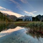 Herbst am Almsee II