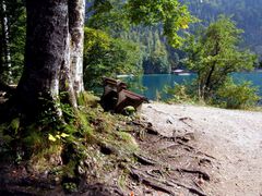 Herbst am Alpsee