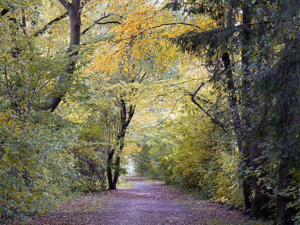 Herbst am Alten Bahndamm