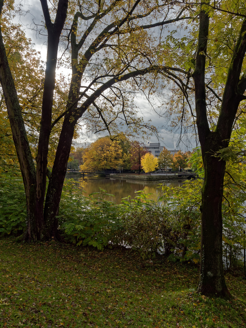 Herbst am alten Neckar