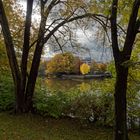 Herbst am alten Neckar