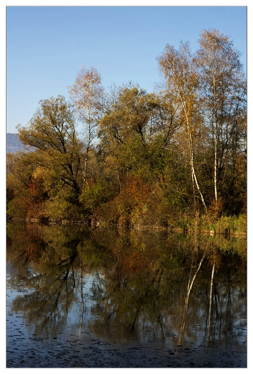 Herbst am Alten Rhein