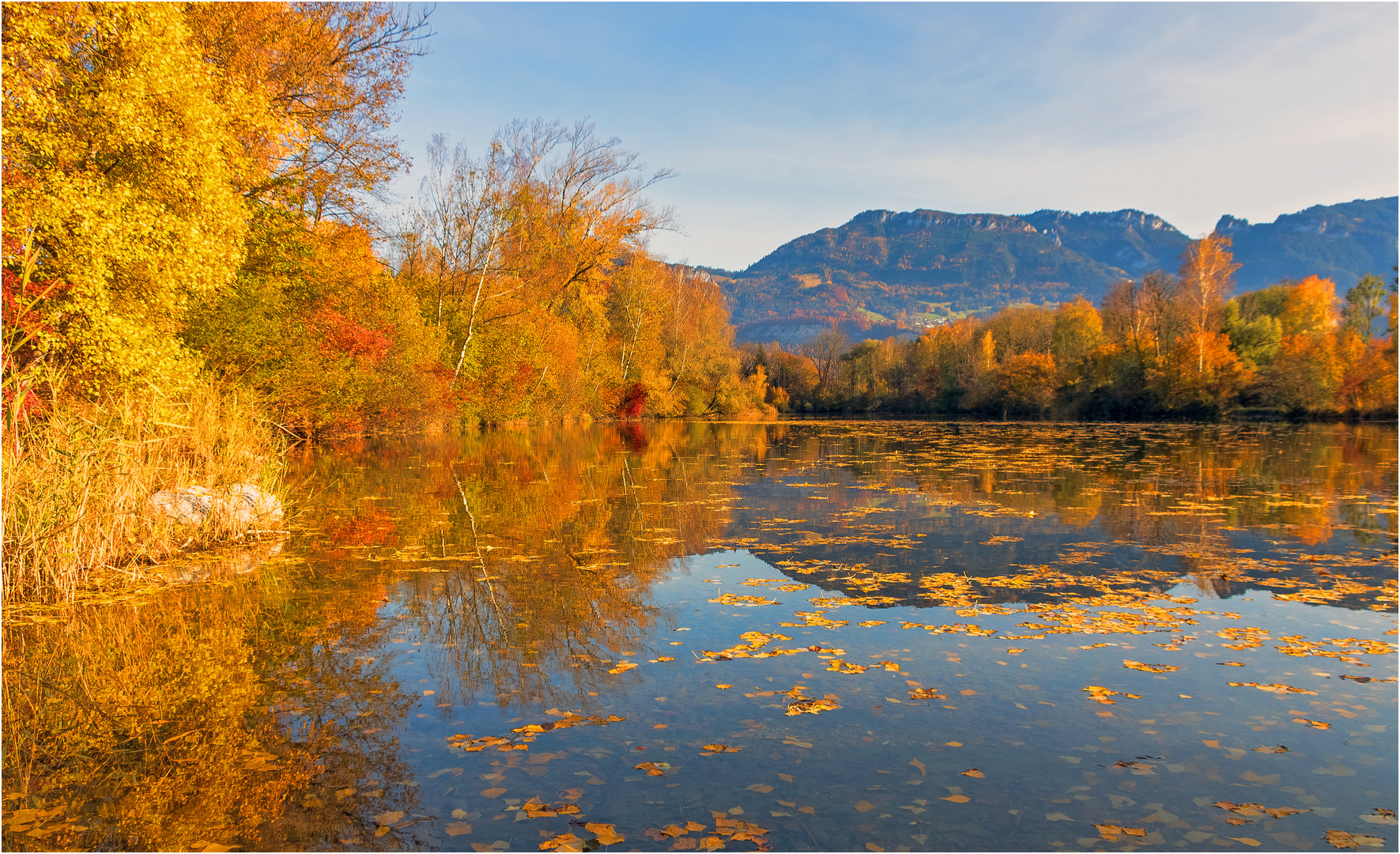 Herbst am Alten Rhein