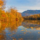 Herbst am Alten Rhein