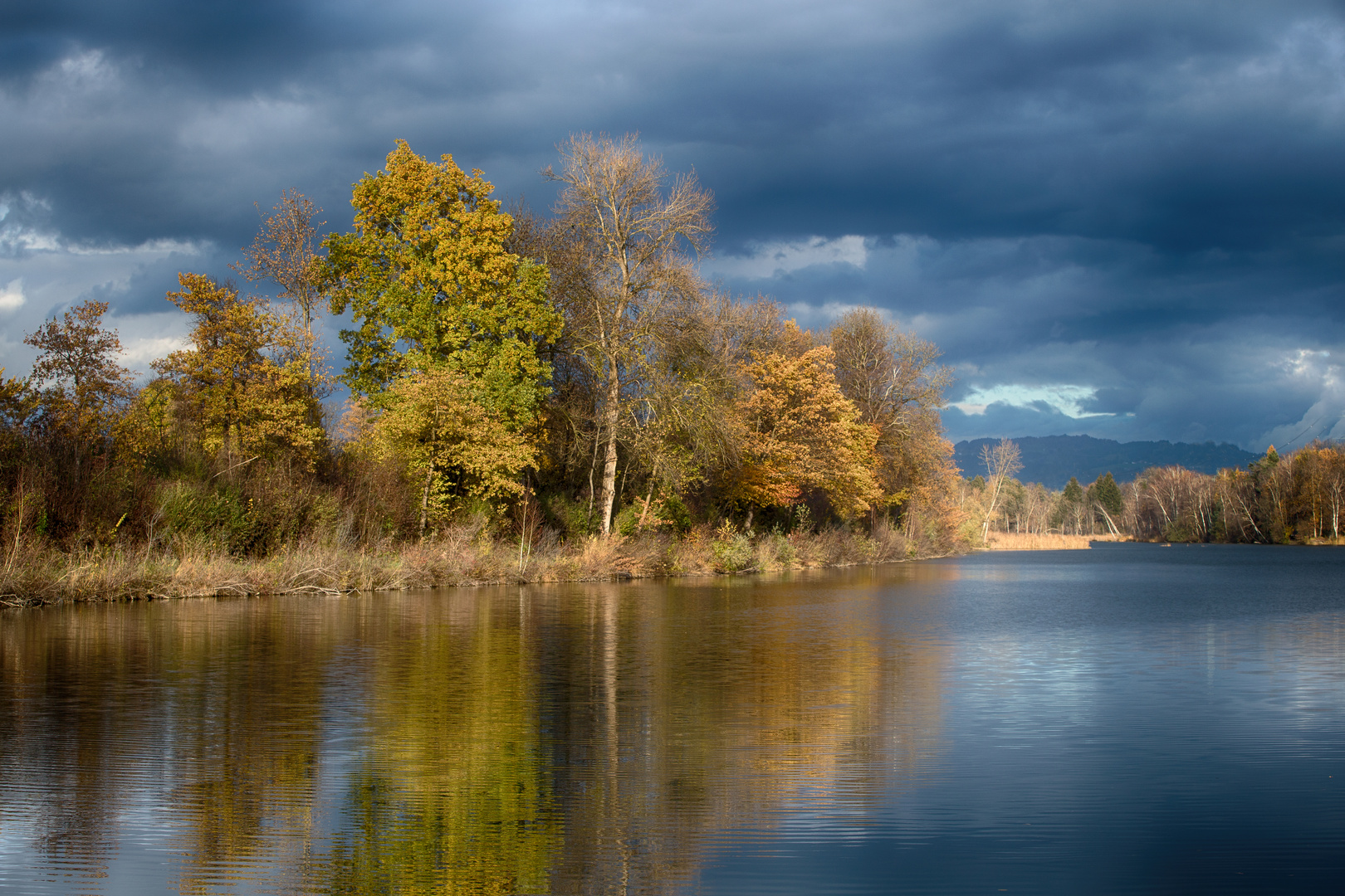 Herbst am Alten Rhein 