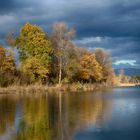 Herbst am Alten Rhein 