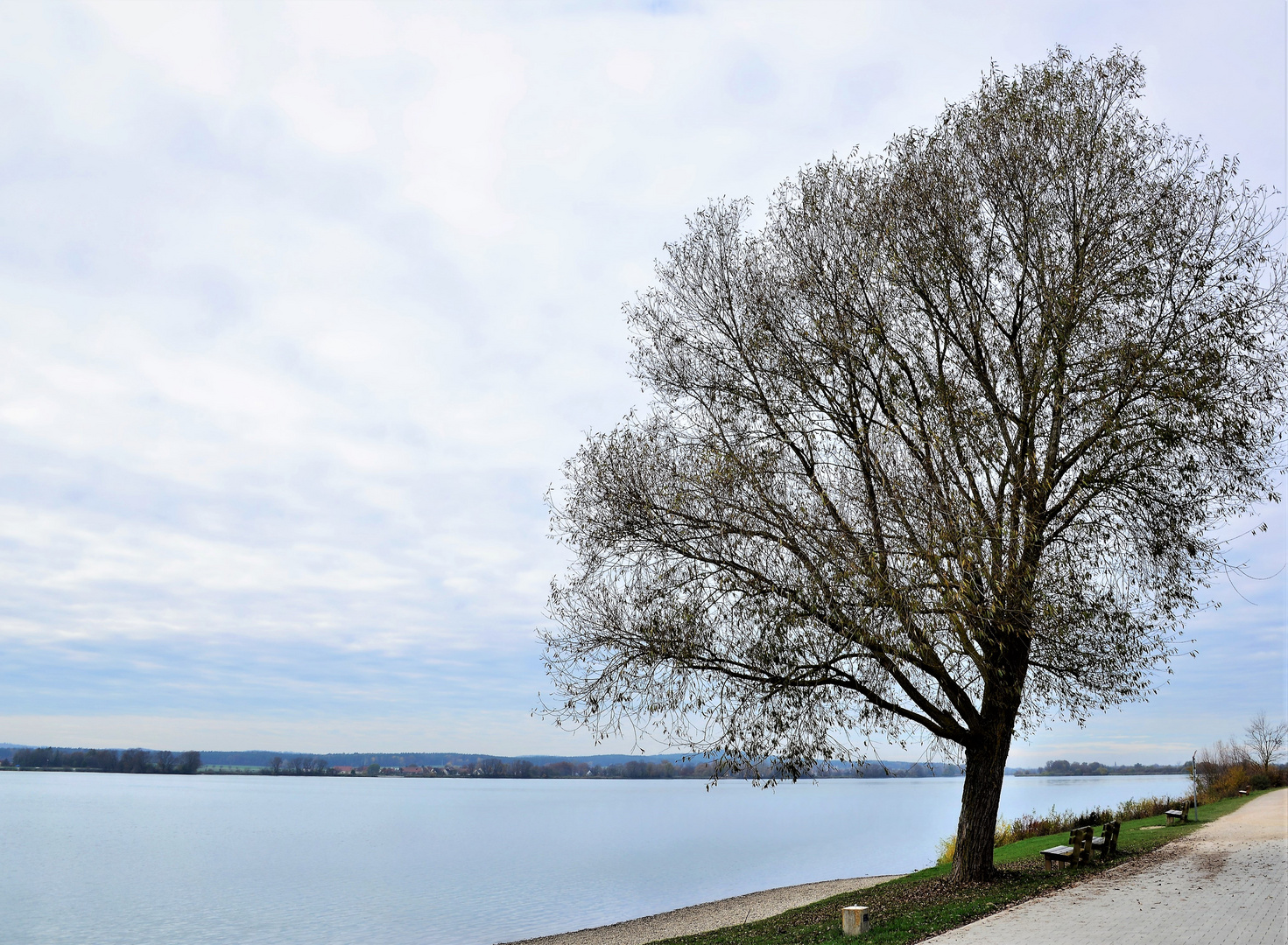 Herbst am Altmühlsee