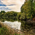 Herbst am Altrein