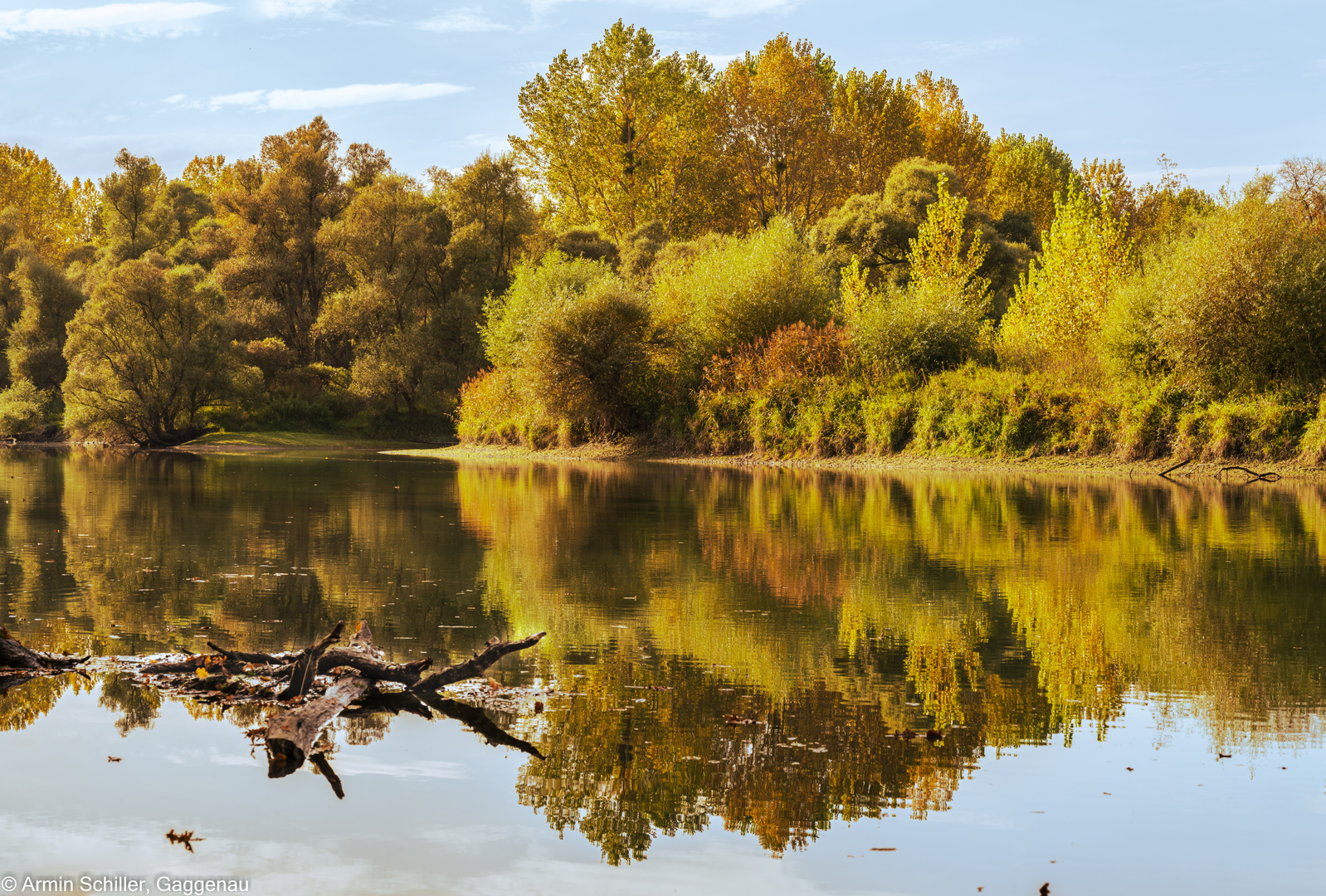 Herbst am Altrhein