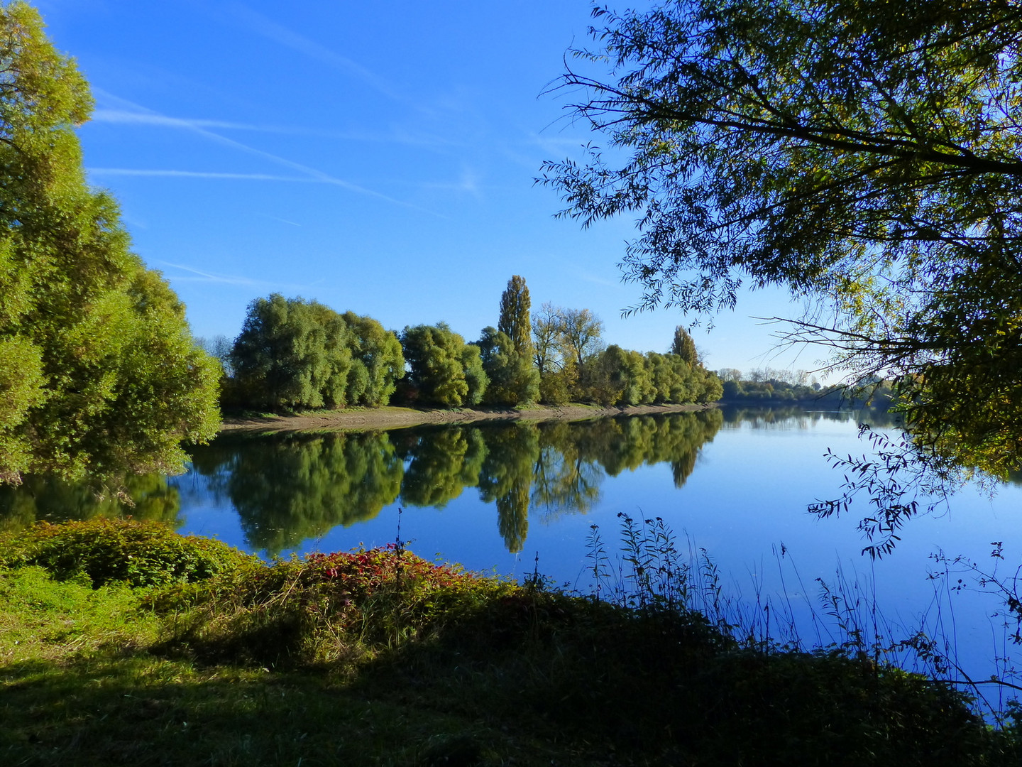 Herbst am Altrhein !