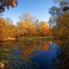 Herbst am Altrhein