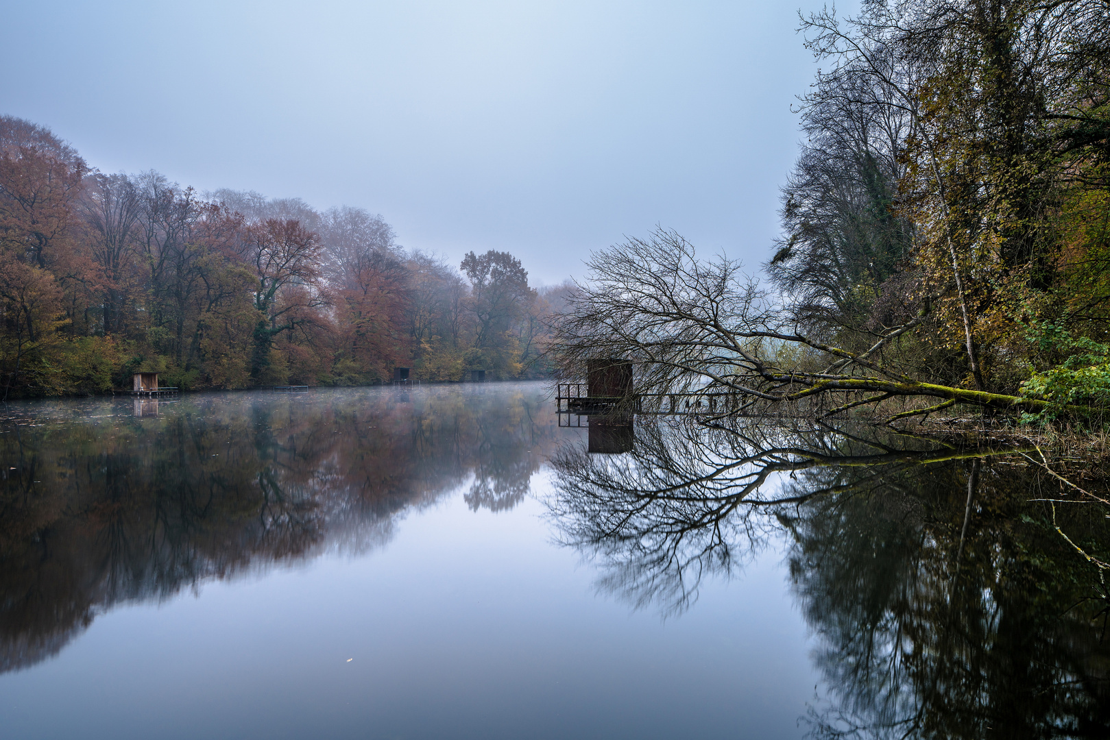 Herbst am Altrhein