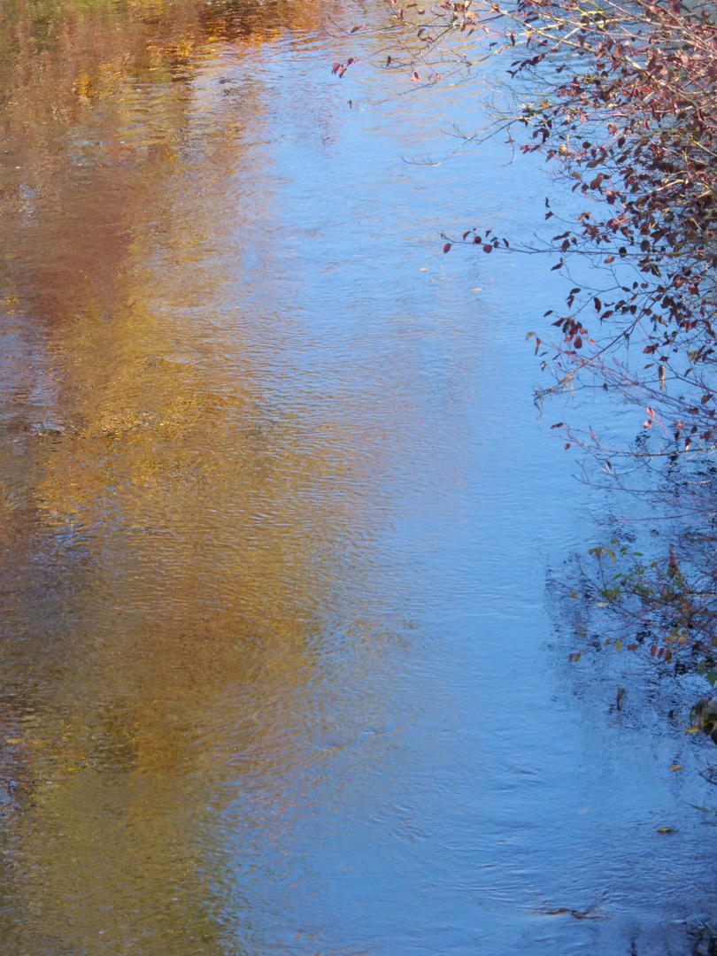 Herbst am Altrheinarm