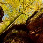 Herbst am Altschlossfelsen 2