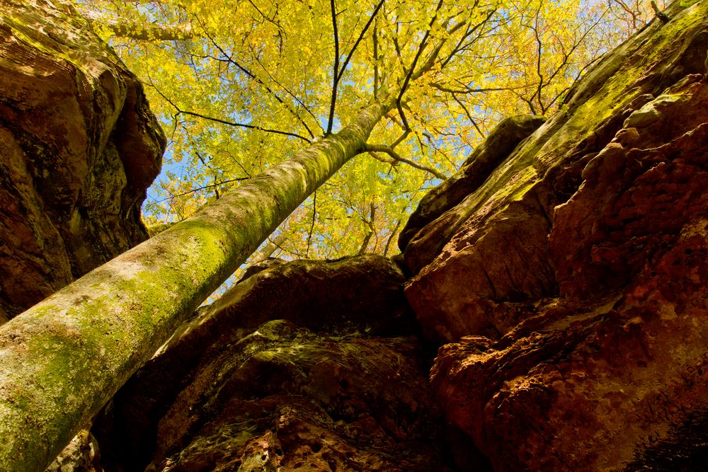 Herbst am Altschlossfelsen 2