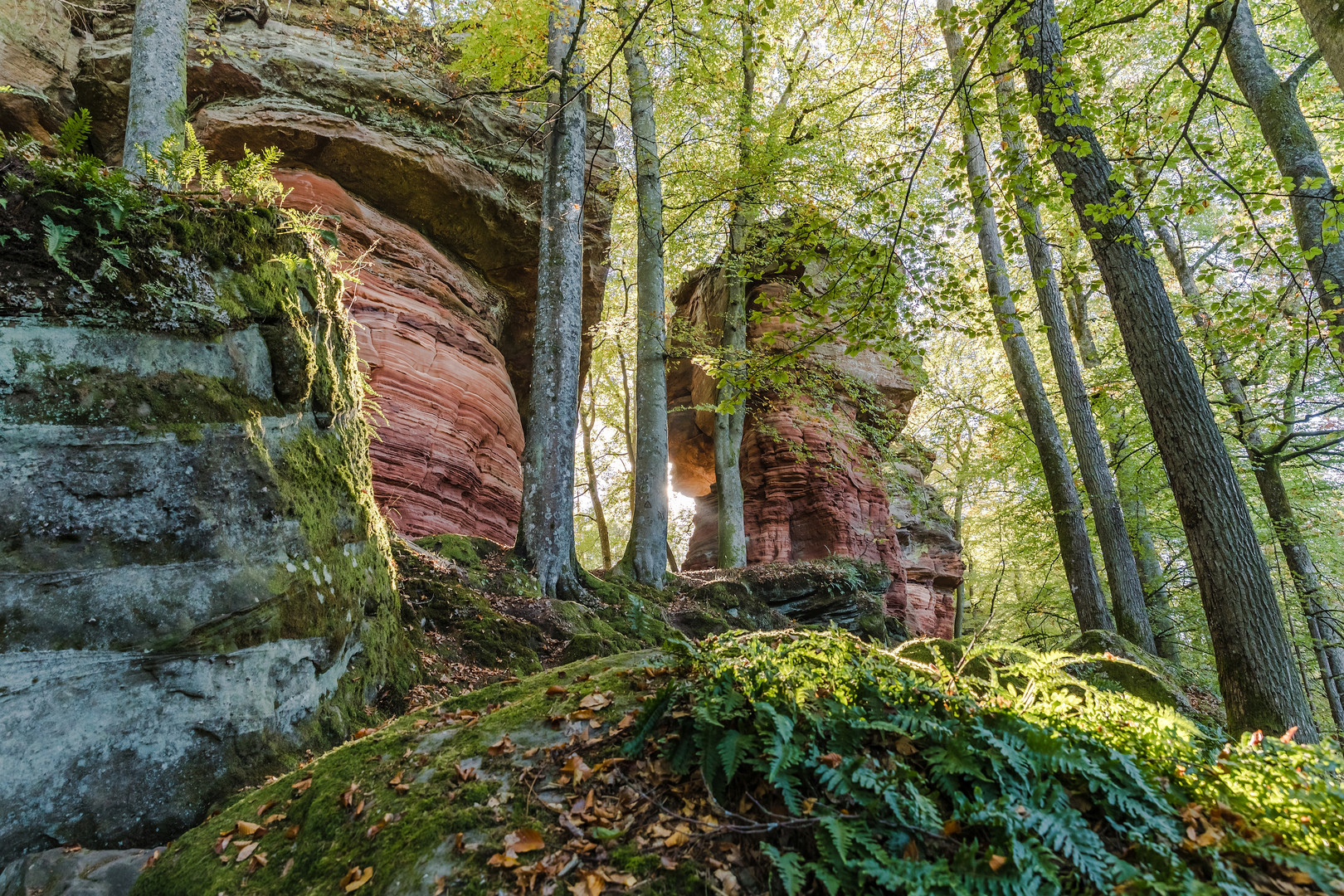 Herbst am Altschlossfelsen