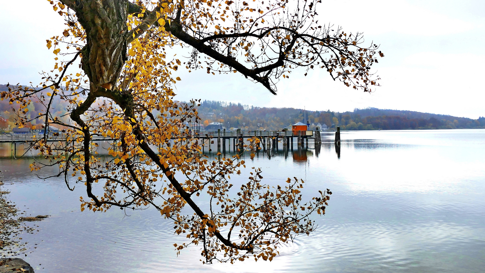 Herbst am Ammersee